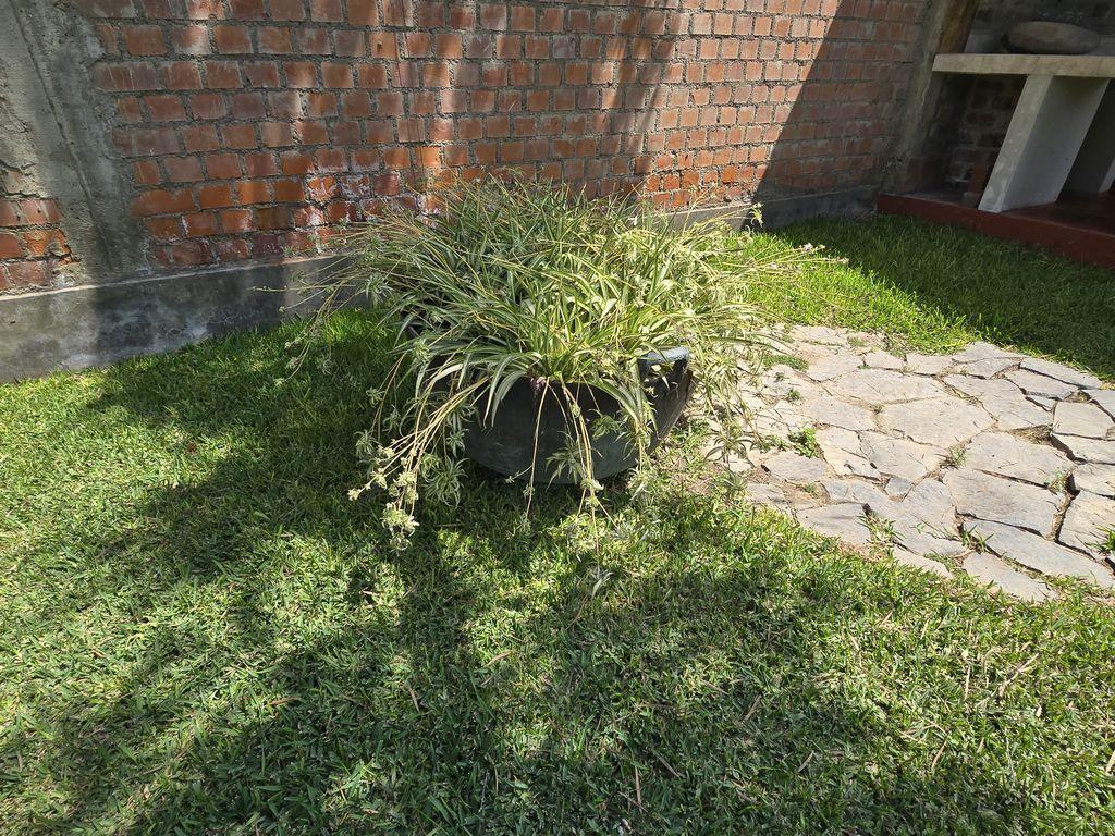 Casa en Venta y permite mascotas
