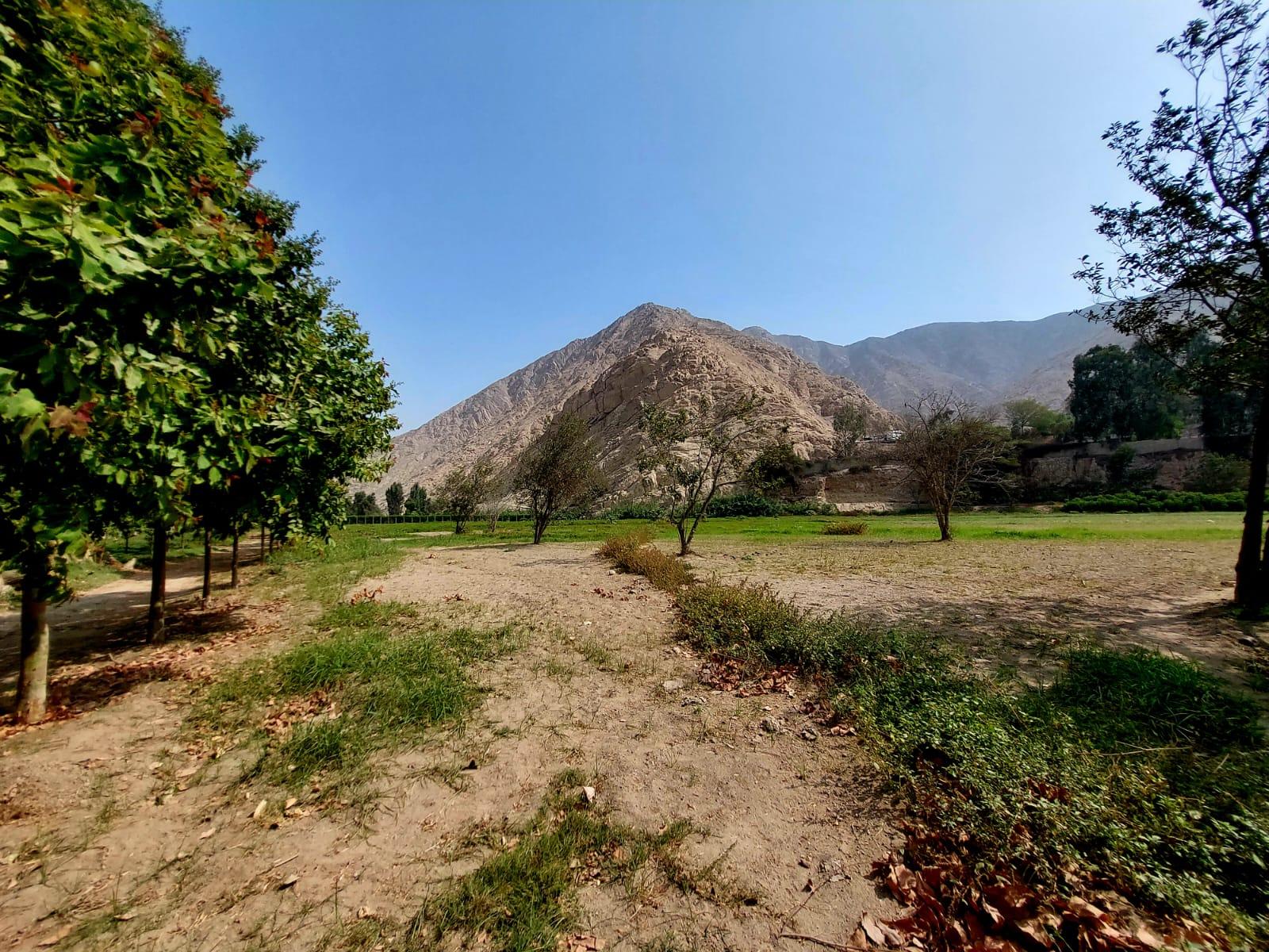 Terreno en Venta ubicado en Cieneguilla Terreno en Venta ubicado en Cieneguilla