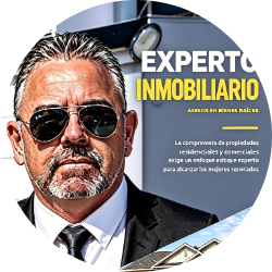Proyectos Inmobiliarios Diego Olaguivel